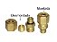 Kit Conector Macho com O-ring para Tubo 10 M12X1,50 Sca 112/113 e Todos - 812880 - Imagem 1