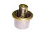 Válvula Termostática 71º para Volvo NL 10/NL12/N10/N12 - 8149182 - Imagem 1