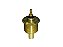 Sensor de Temperatura para Ford CARGO 1422/1617/1622/2422/2622/2626/2630 - TJG919501A - Imagem 1