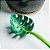 Kit Escumadeira Para Massas Folha + Concha Dinossauro Verde - Imagem 4