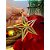 Kit 2 Estrelas Para Árvore de Natal Enfeite de Natal Furta-cor 3D - Imagem 5
