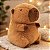 Brinquedo Capivara De Pelúcia 20cm Fofinha Marrom JR00 - Imagem 3