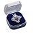 Broche Botton Sagrado Coração de Jesus + Caixinha Exclusiva - Imagem 4
