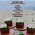 Kit Carimbos Dinossauro Para Doces E Brigadeiros Blue Star - Imagem 3