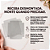 10un Embalagem Acetato Slice Cake Flip Box Transparente - Imagem 2