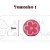 Kit Carimbos Jardim Encantado Rosa Para Doces Blue Star - Imagem 3