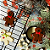 FORMA ESPECIAL TRAD. GINGERBREAD C/ 3 PARTES BWB - Imagem 5