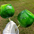 MIST COR ART VERDE FOLHA ICEMIX COLOR 100g - ICEBERG - Imagem 4