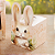 10 CX POP UP 8X8X8CM - COELHINHO ENCANTADO C5386 IDEIA - Imagem 5