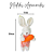 MINI BOX COELHOS SORT XADREZ LJA/VRD (MINI BOX) C/1 UN - Imagem 2