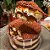 Cake Box Redonda 1,450L Transparente Com Tampa Sobremesas Tortas Doces Festa LSC Toys - Imagem 3