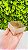 Caixa Essencial 04 Doces Kraft Pct C/10un C5042 Ideia - Imagem 2