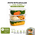 Kit Pote C/ Tampa Retangular PP 750ml C/10un Plastilânia - Imagem 1