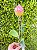 Haste Protea 65cm Rosa 1062770 Cromus - Imagem 5
