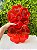 Fondue Box Flor De Corações (PETISQUEIRA) Vermelho Translúcido - BlueStar - Imagem 1