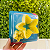Cortador Estrela C/ 8 PCS BlueStar - Imagem 6