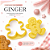 Cortador Carimbo Ginger Natal Pasta Americana Biscuit BlueStar - Imagem 2