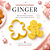 Cortador Carimbo Ginger Natal Pasta Americana Biscuit BlueStar - Imagem 7