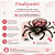 Porta Doces Decorativo Aranha Sortido 1un Cromus Festas Halloween - Imagem 7