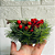 Porta Vela Com Aarranjo Verde/Vermelho/Marrom 15cm C/1un Natal Cromus 1043328 - Imagem 2