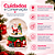 Globo De Neve Sortido Base Casa Colorido 8,5X6,5cm C/1un Natal Cromus 3116829 - Imagem 4