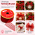 Fita Tela Vermelho 3,8x9,14m C/1un Natal Cromus 1117493 - Imagem 7