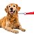 Coleira Cachorros Corrente Guia Cães Dog Pet Resistente 1,2m - Imagem 3
