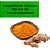 Curcumina 95% Cúrcuminóides Anti Inflamatorio 60 Cps Actibio - Imagem 4