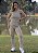 Conjunto Canelado Argila - Legging + Cropped - Imagem 4