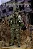 Boneco  M042 US ARMY Special Force 1/6 Soldier Mini Times Geek - Imagem 9