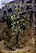 Boneco  M042 US ARMY Special Force 1/6 Soldier Mini Times Geek - Imagem 6
