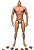 Corpo Body Truetype  Zc Toys Muscular 2.0 - Imagem 1