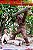 Boneco the Six Million Dollar Man & Bionic Bigfoot Supermad 1/6 - Imagem 7