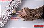 Boneco SUPERMAD TOYS Bionic Big Foot 1/6 Scale Action Figure (LE 350) - Imagem 4