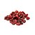 Cranberry inteiro - Pacote 100G - Imagem 1