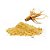 Ginseng em pó puro - Pacote 100G - Imagem 1