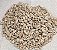 Girassol pepitas - Pacote 100G - Imagem 1
