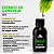 Extrato de Carqueja Orgânico 60ml Kampo de Ervas - Imagem 2