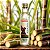 Vinagre de Álcool Cana de Açúcar Orgânico 250ml Dom Spinosa - Imagem 3