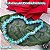Pulseira Apatita Azul - Imagem 1