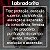 Pulseira Labradorita - Imagem 3