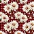 D772  - Daisy 05 - Imagem 1