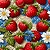 D1272 - Frutas Patch Morangos - Imagem 1