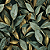 D1362 - Folhas Lush Verde - Imagem 1