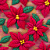 DN233 - Flor Vermelha Color - Imagem 1