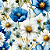 D2263 - Blue Meadow Margarida no Creme - Imagem 1