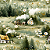 D2413 - Verdes Campos Campo - Imagem 1
