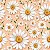 D2490 - Love Daisies Salmon Daisy - Imagem 1