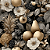 D2547 - Black Beauty Frutas - Imagem 1