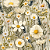 D2694 - Milk Floral Daisy - Imagem 1
